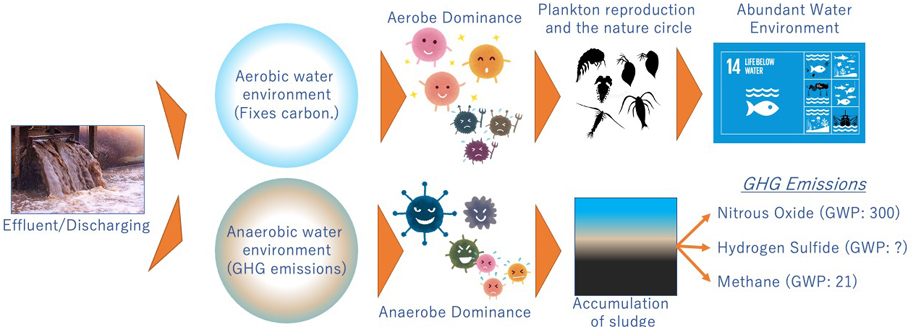 Polluted water is the biggest source of GHG