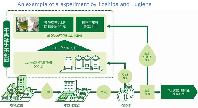 Methodology-4: Fixation of CO2 by algae