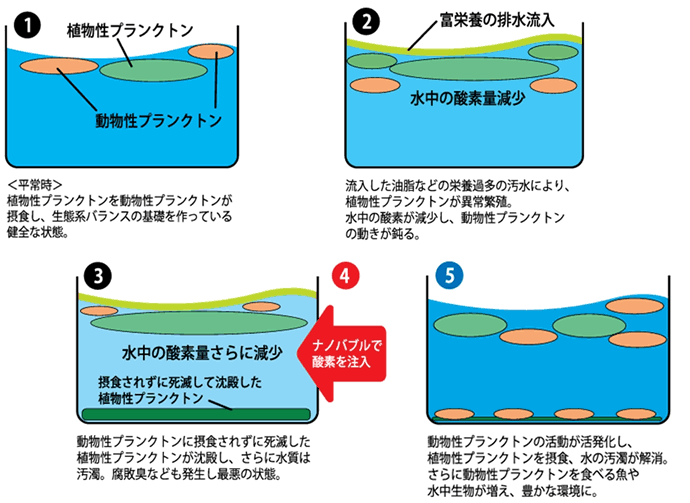 ナノバブルとプランクトン