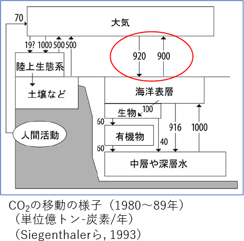 海は最も大きな温暖化ガスの発生源