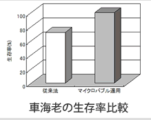 車海老の生存率比較/車海老の成長率比較